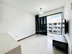 Palm Isles (D17), Condominium #447133641